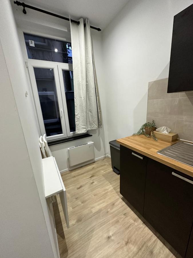 Nouveau Studio Dans Le Centre De Bruxelles Экстерьер фото
